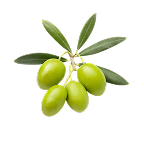 Escualano