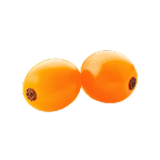Espino amarillo